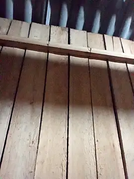 Snapshot of Agnes-baby chatting on February 12, 2026, 1:44 pm Agnes-baby online show from February 12, 2026, 1:44 pm