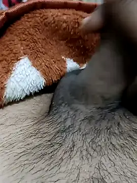  chota bunny  online show from February 22, 2026, 7:55 am