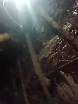 Manvi hote online show from January 18, 2026, 4:10 pm