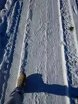 Erz84 online show from February 19, 2025, 12:25 am