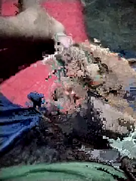 Danu2005dsa online show from February 18, 2026, 6:04 pm