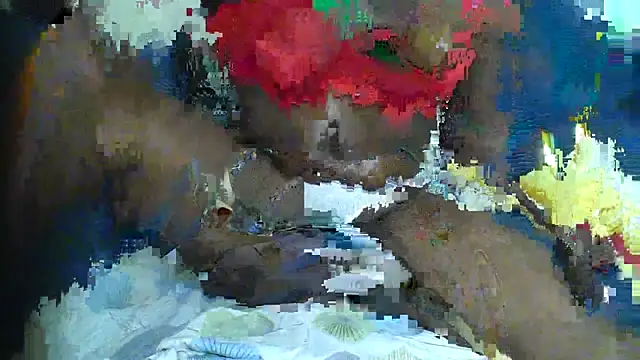 Hot Hun online show from April 17, 2026, 6:55 pm