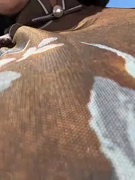 wy2026 online show from April 10, 2026, 5:25 am