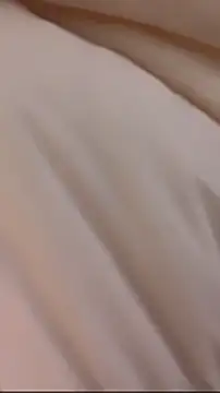 wy2026 online show from March 1, 2026, 3:50 am