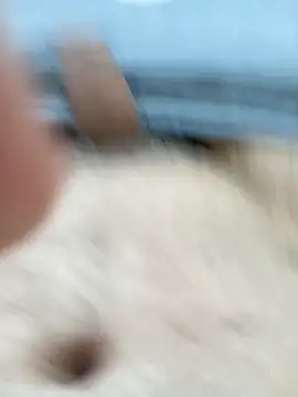 kazikli2 online show from January 6, 2026, 9:52 pm