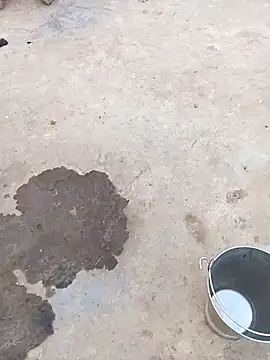 sarmila sexy1 online show from January 7, 2026, 11:37 am