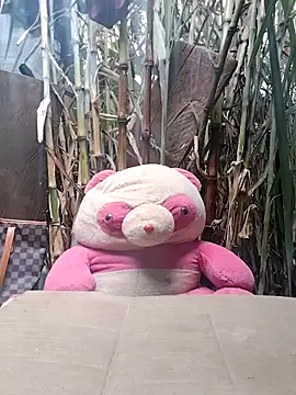 Snapshot of leona118 chatting on February 11, 2026, 1:27 am leona118 online show from February 11, 2026, 1:27 am