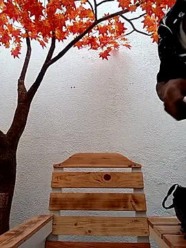 Dante Knox online show from February 15, 2026, 11:53 am