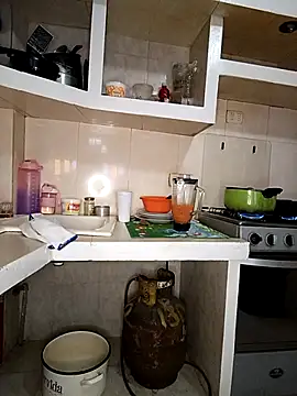 Snapshot of Rous_06 chatting on January 15, 2026, 6:11 pm Rous 06 online show from January 15, 2026, 6:11 pm