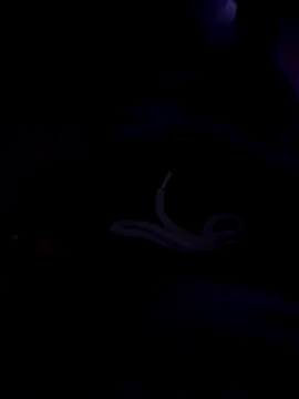 Snapshot of 80julien chatting on February 13, 2026, 2:28 pm 80julien online show from February 13, 2026, 2:28 pm