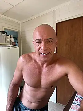 dogfrota online show from February 10, 2026, 2:27 pm