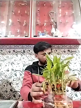 Snapshot of studio-my chatting on February 11, 2026, 3:12 pm studio-my online show from February 11, 2026, 3:12 pm