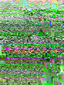 DouDou-- online show from June 23, 2026, 2:37 pm
