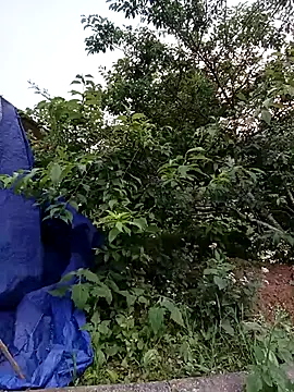 -Likin- online show from April 10, 2026, 11:06 am