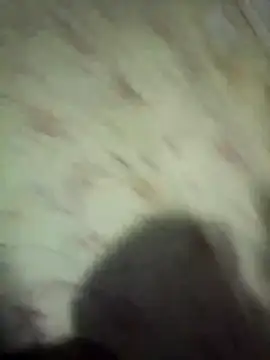 Snapshot of NysiOlsen chatting on February 15, 2026, 9:14 pm NysiOlsen online show from February 15, 2026, 9:14 pm