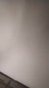 sterng6969 online show from March 16, 2026, 5:26 am