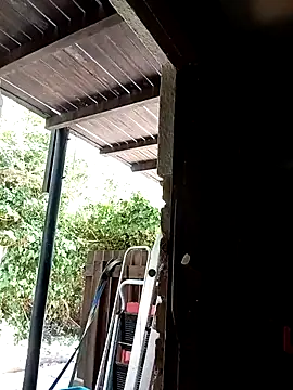 dicklife3485 online show from February 3, 2026, 8:30 am