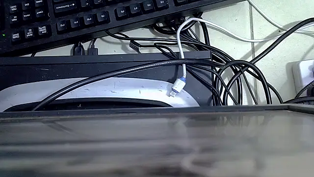 tekashi667 online show from July 16, 2026, 4:20 am