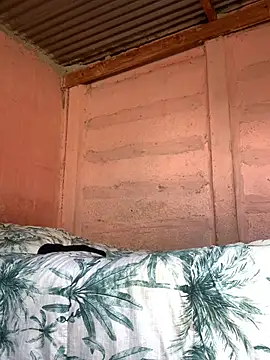 Snapshot of taitaimont chatting on February 13, 2026, 12:16 pm taitaimont online show from February 13, 2026, 12:16 pm