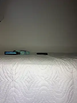 Snapshot of BellaMoon_ chatting on February 13, 2026, 4:45 am BellaMoon online show from February 13, 2026, 4:45 am