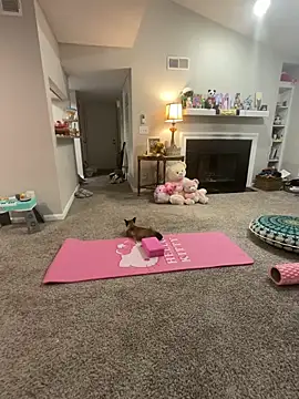 Pink mink21 online show from February 3, 2026, 3:48 am