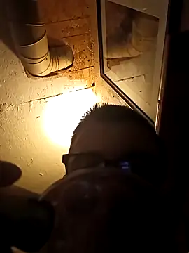 Drews9in online show from January 19, 2026, 1:04 pm