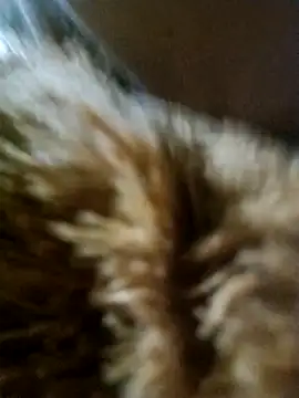 Snapshot of big12phase chatting on March 15, 2026, 10:06 pm big12phase online show from March 15, 2026, 10:06 pm