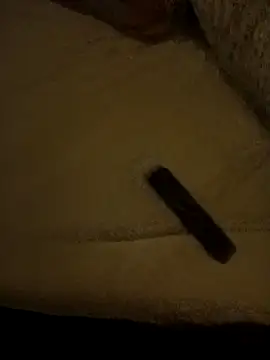 Snapshot of IndorsedTimid chatting on February 21, 2026, 5:20 am IndorsedTimid online show from February 21, 2026, 5:20 am