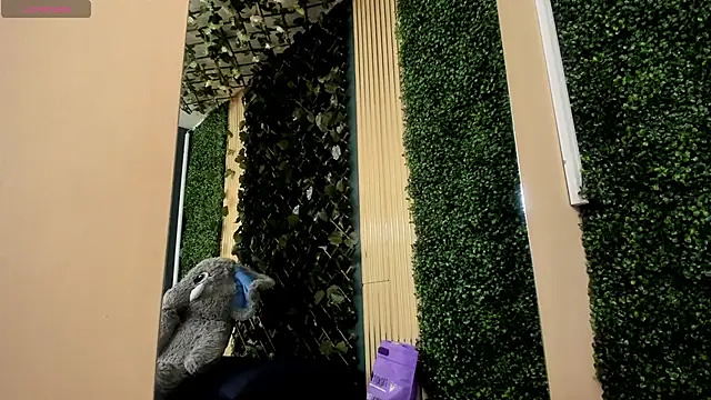 AmberAddamss online show from February 22, 2026, 2:41 pm