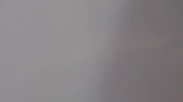 Snapshot of adara_cute_69 chatting on February 5, 2026, 6:15 pm adara cute 69 online show from February 5, 2026, 6:15 pm