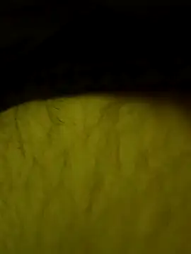 Snapshot of jajajaja322 chatting on February 2, 2026, 9:25 pm jajajaja322 online show from February 2, 2026, 9:25 pm