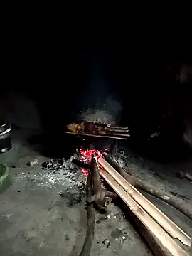 Hoa-tuylip online show from April 16, 2026, 2:34 am