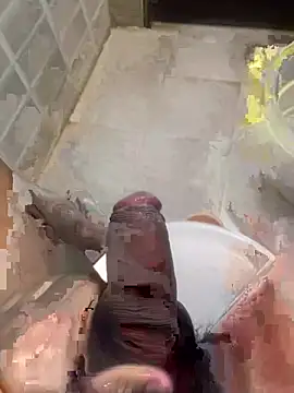 daimaryniki online show from February 5, 2026, 1:56 am