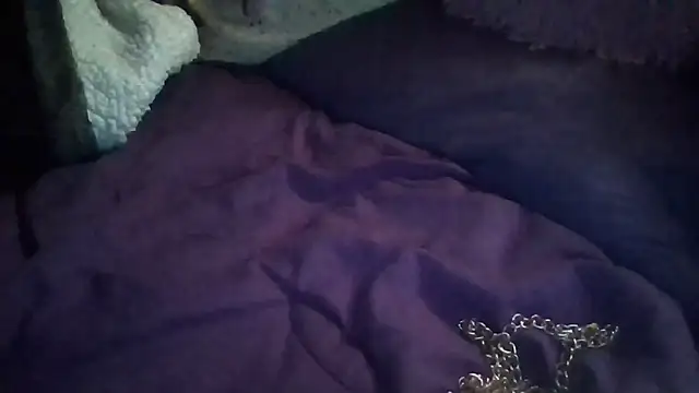 Paradice7 online show from February 1, 2026, 6:33 am