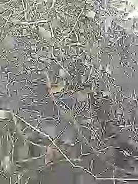 Cute Boy 4 online show from April 4, 2026, 7:37 am