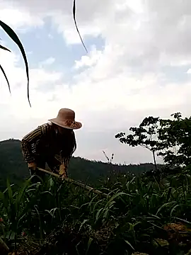 Tina-beo online show from April 10, 2026, 8:10 am