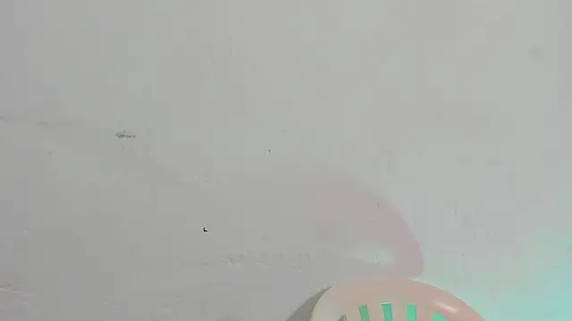 Snapshot of Emely_pregnantt chatting on February 13, 2026, 4:07 pm Emely pregnantt online show from February 13, 2026, 4:07 pm