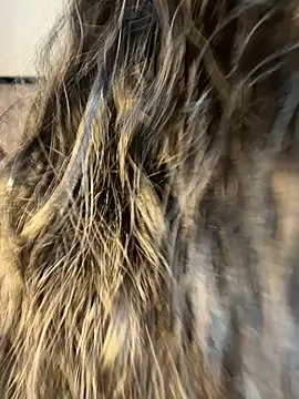 Snapshot of Denise_wolfe21 chatting on February 19, 2026, 7:44 pm Denise wolfe21 online show from February 19, 2026, 7:44 pm