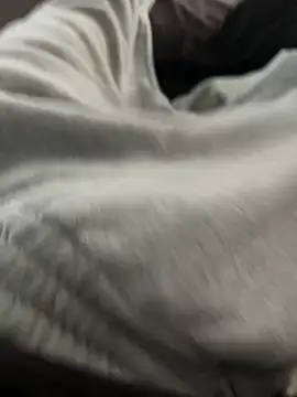 bugballs1 online show from February 20, 2026, 11:39 pm