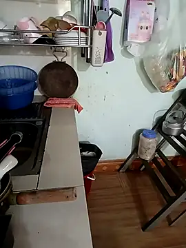 Snapshot of Tulip_ii chatting on February 26, 2026, 3:17 am Tulip ii online show from February 26, 2026, 3:17 am