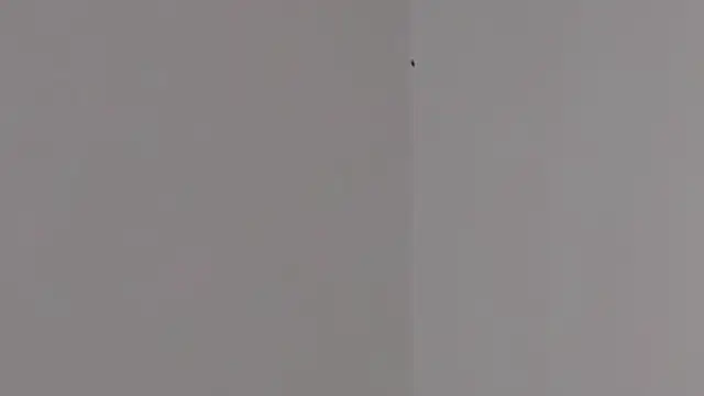 Lilith pink29 online show from February 3, 2026, 3:37 am