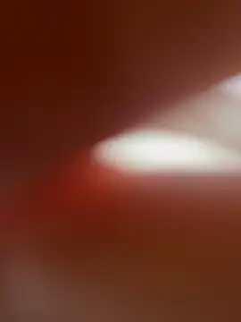 zo-19cm online show from February 27, 2026, 1:33 pm