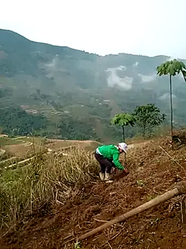 cana4455 online show from March 10, 2026, 2:26 am