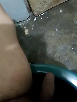 tortolito201 online show from February 11, 2026, 7:52 am