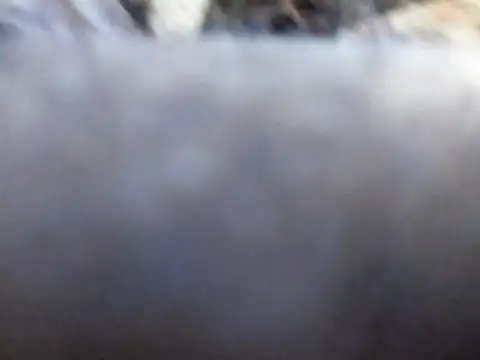 Joecool1009 online show from February 3, 2026, 12:32 am