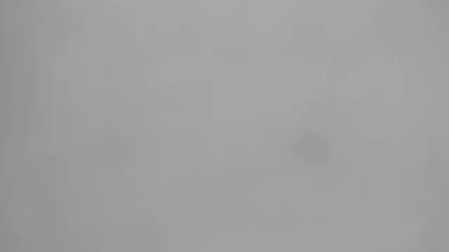  1DERECK online show from February 19, 2026, 10:01 am