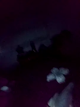 loveofpetitegirls34 online show from February 13, 2026, 3:28 am