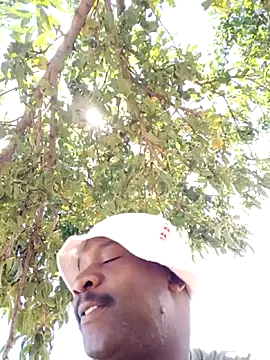 Sbuda3159 online show from February 8, 2026, 11:41 am