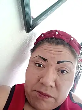 Snapshot of perrit17 chatting on February 26, 2026, 11:49 pm perrit17 online show from February 26, 2026, 11:49 pm