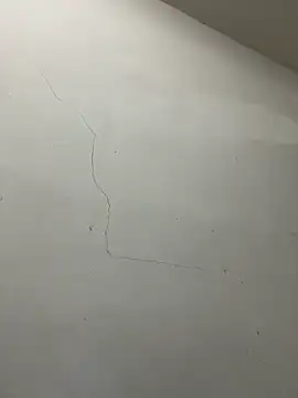 Ttony502 online show from March 24, 2026, 12:32 am